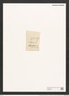 Pleurosigma angulatum var. delicatulum (W.Sm.) V.H. (de-Toni-Nr.: Genus 13, Species 1001) Zeichnungen Sammlung Grunow (NHMW-BOT-W0368842)